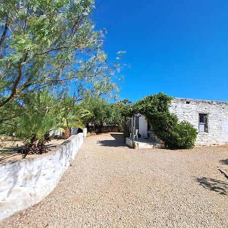 Olive Grove Cottage Koringberg Exteriér fotografie