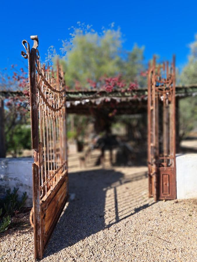 Olive Grove Cottage Koringberg Exteriér fotografie