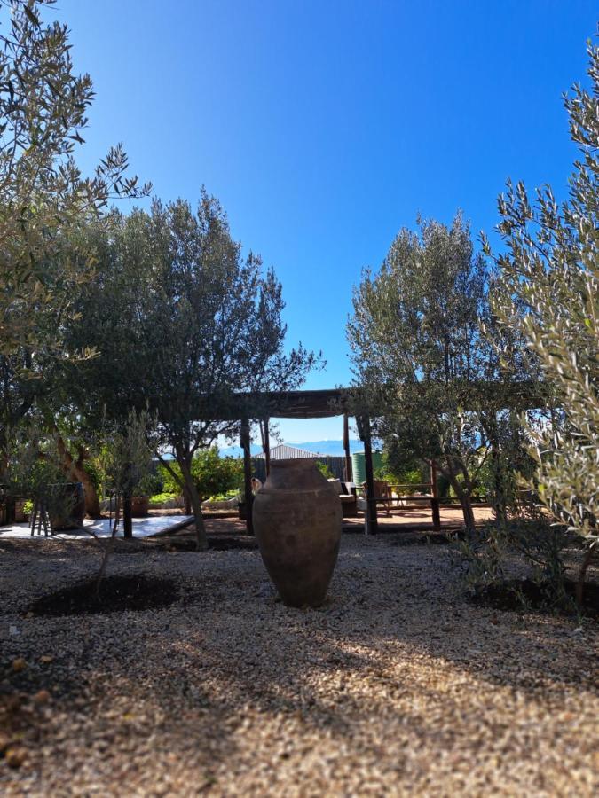 Olive Grove Cottage Koringberg Exteriér fotografie