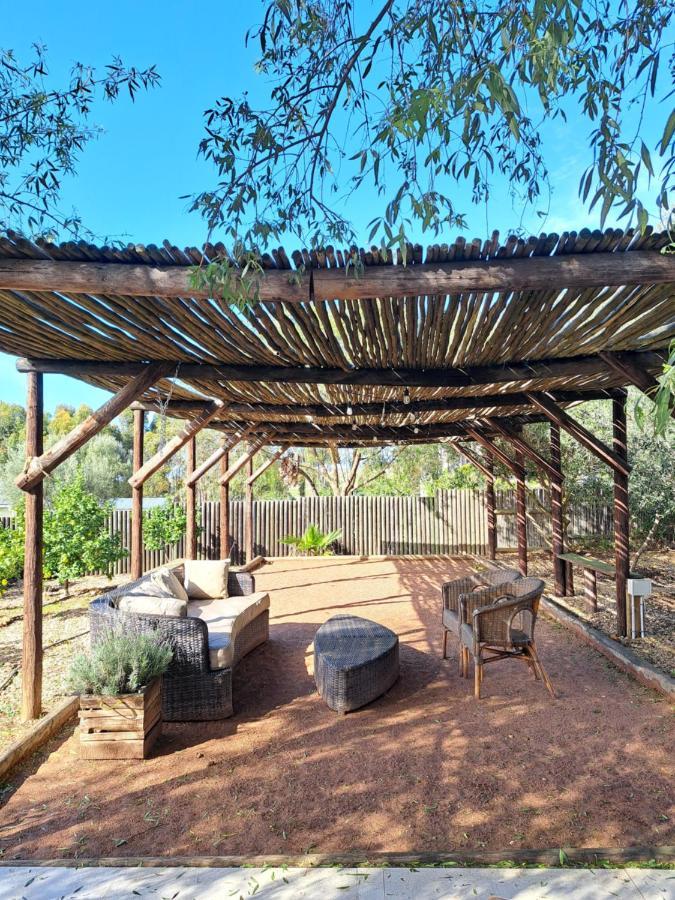 Olive Grove Cottage Koringberg Exteriér fotografie